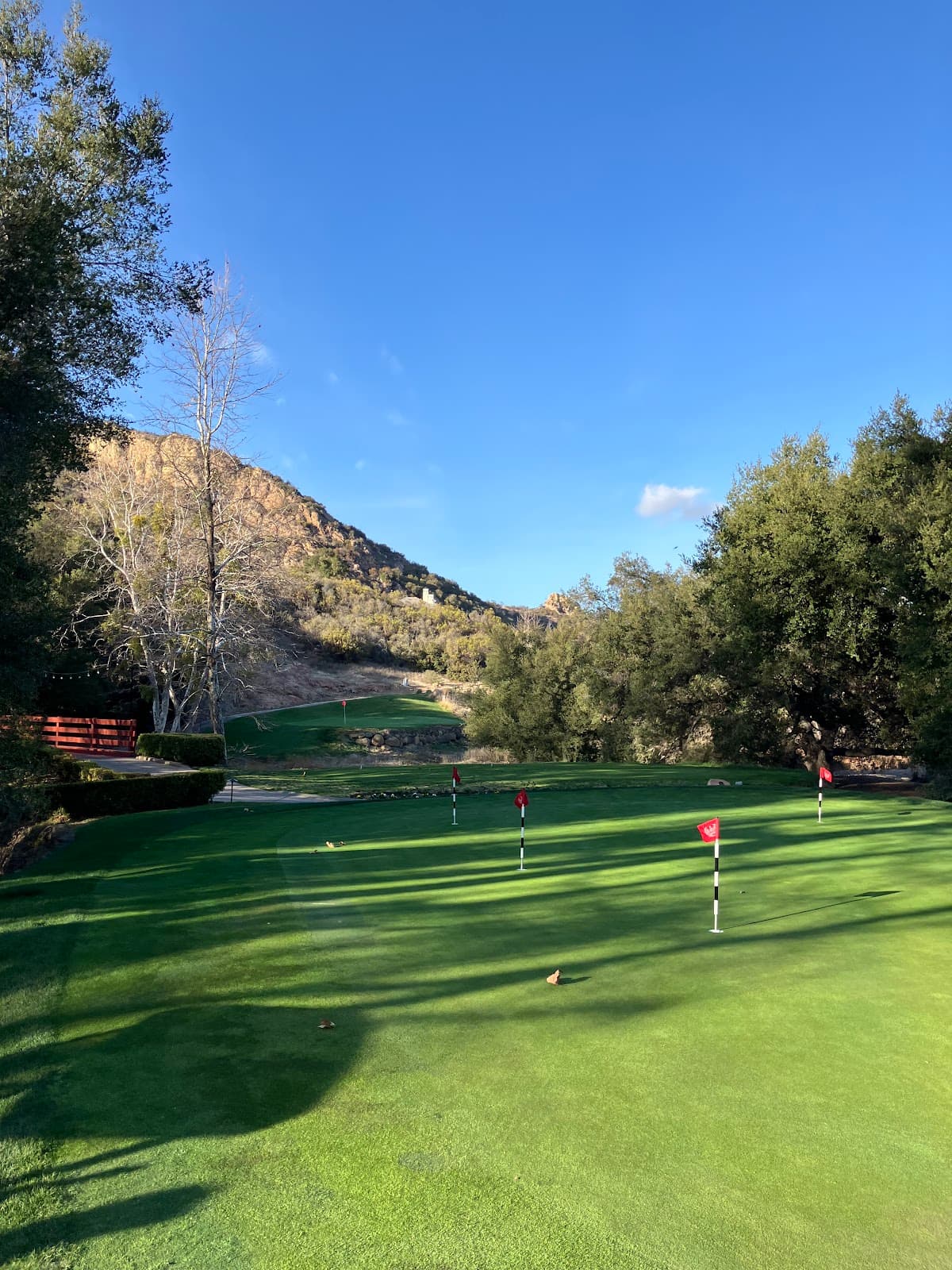 Lake Sherwood Scenic Drive - Image 1