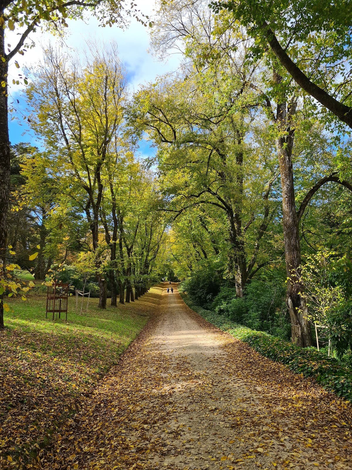 Duneira Estate - Image 1