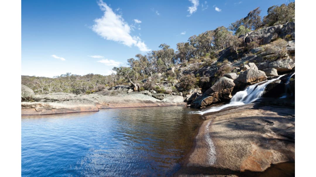 Wadbilliga National Park - Image 1