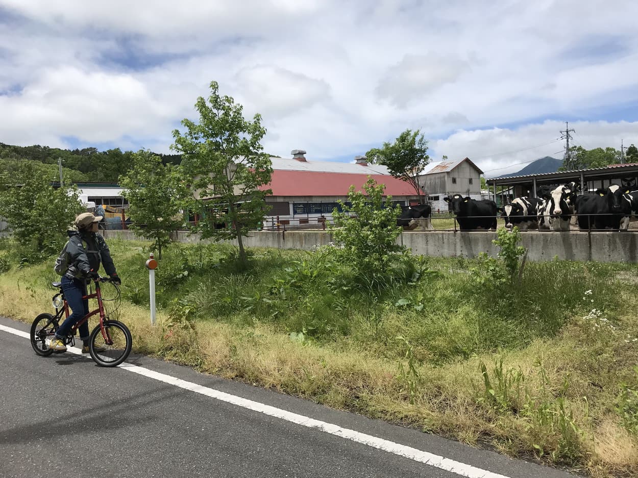 Hiruzen Cycling Road - Image 1
