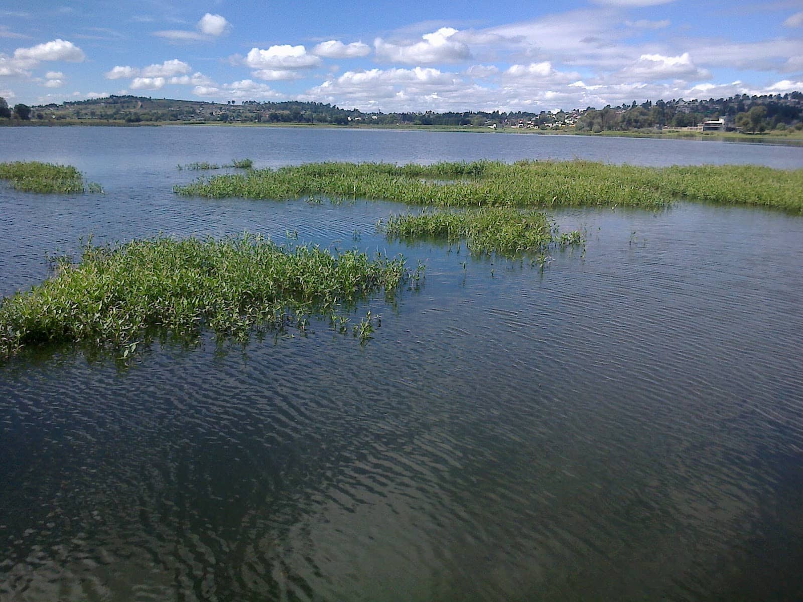 Kayak & Paddle Adventures
