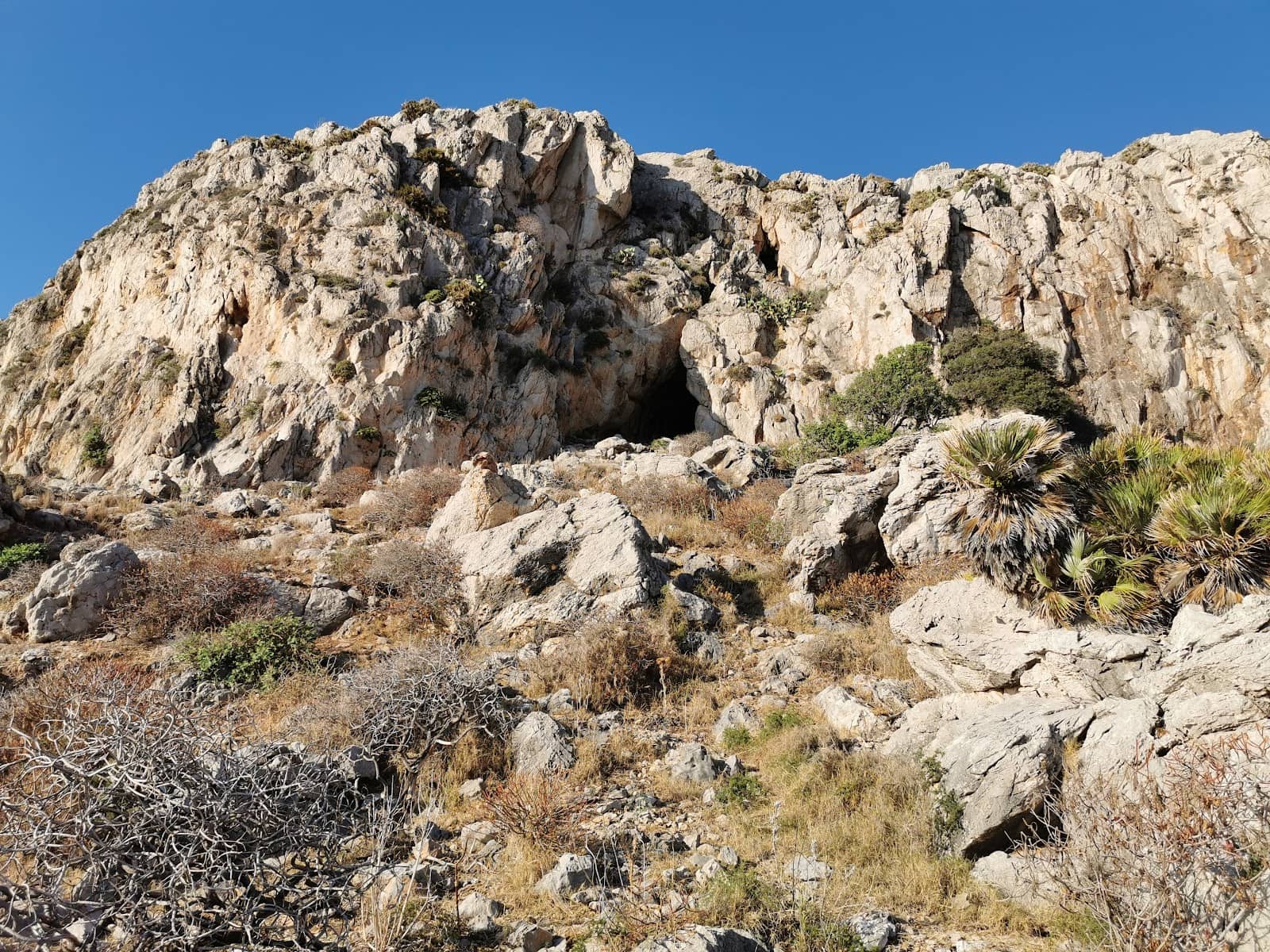 Vertical photo