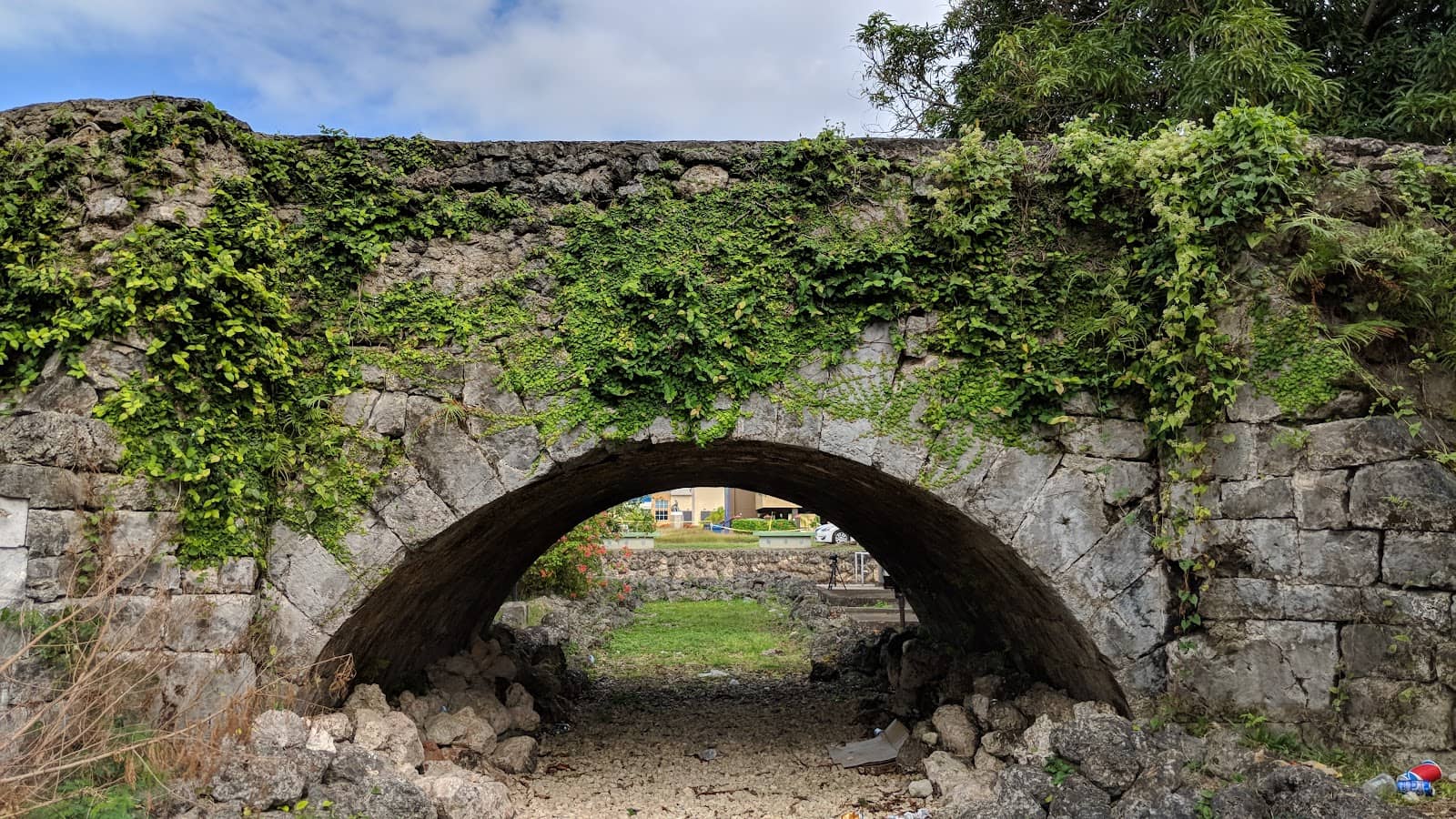 Lush Greenery & Flame Trees