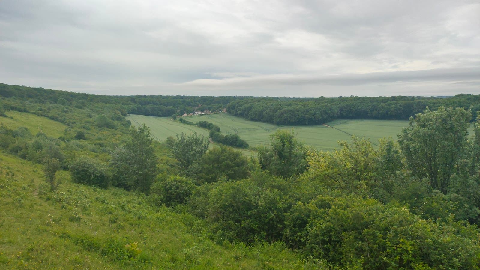 Darland Banks - Image 1