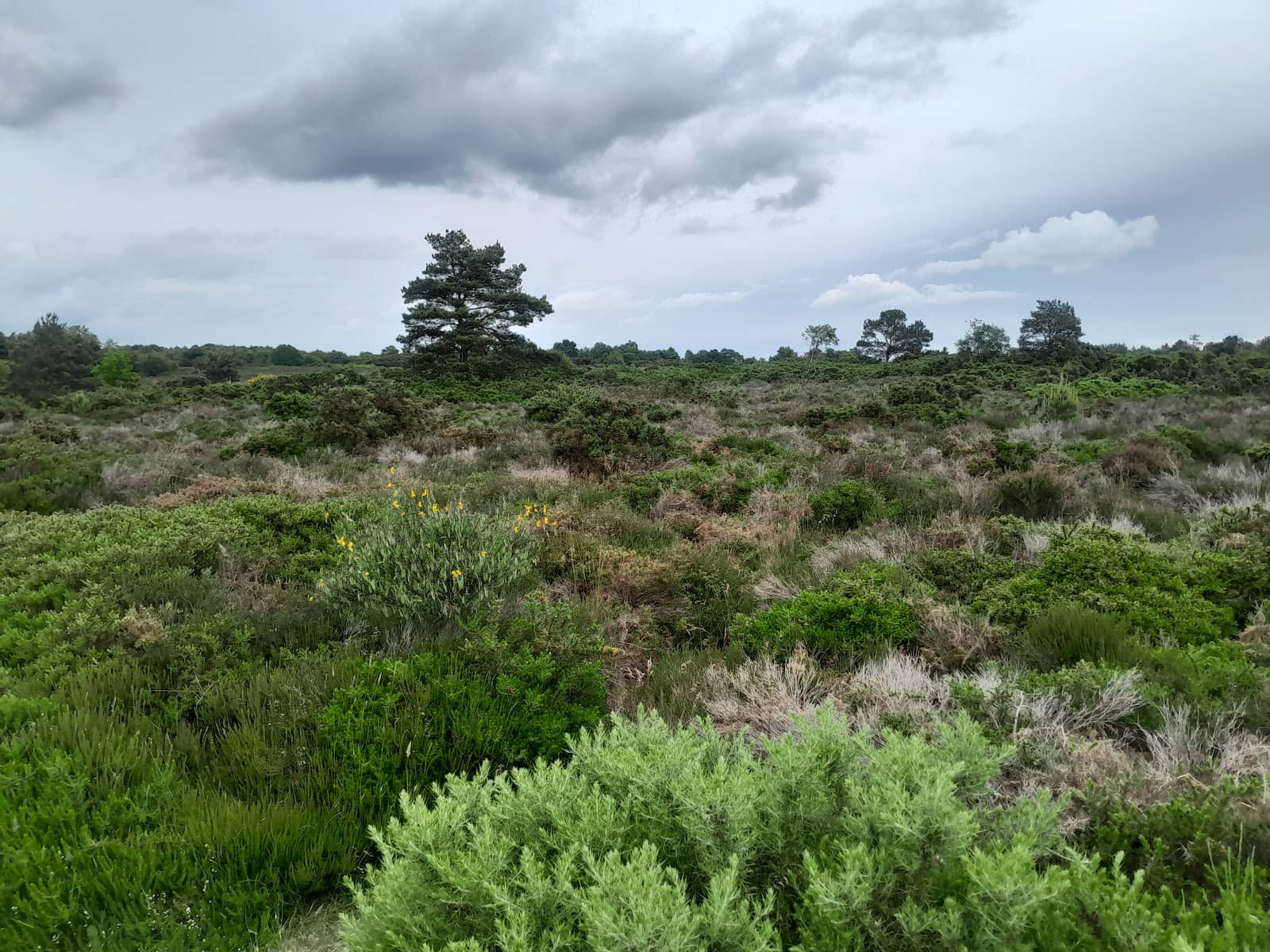 Dark Sky Area