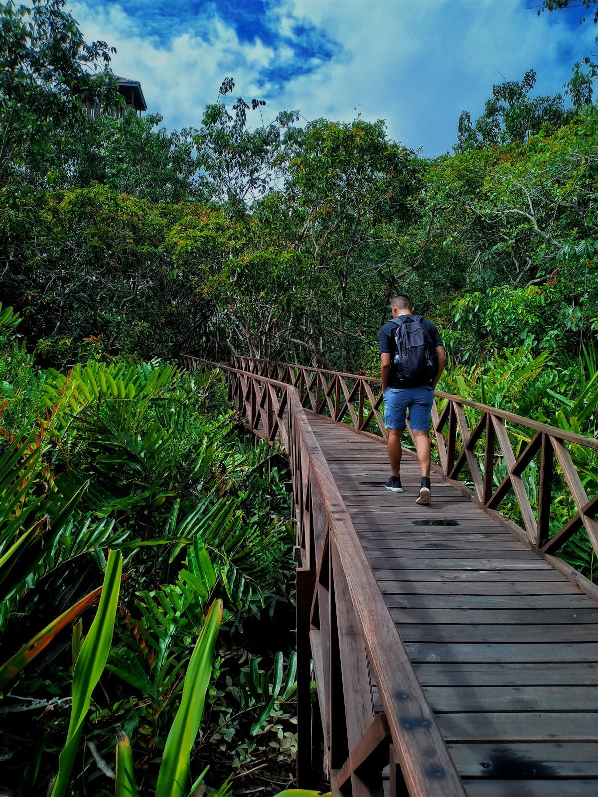 Pulau Bakut Nature Reserve - Image 1