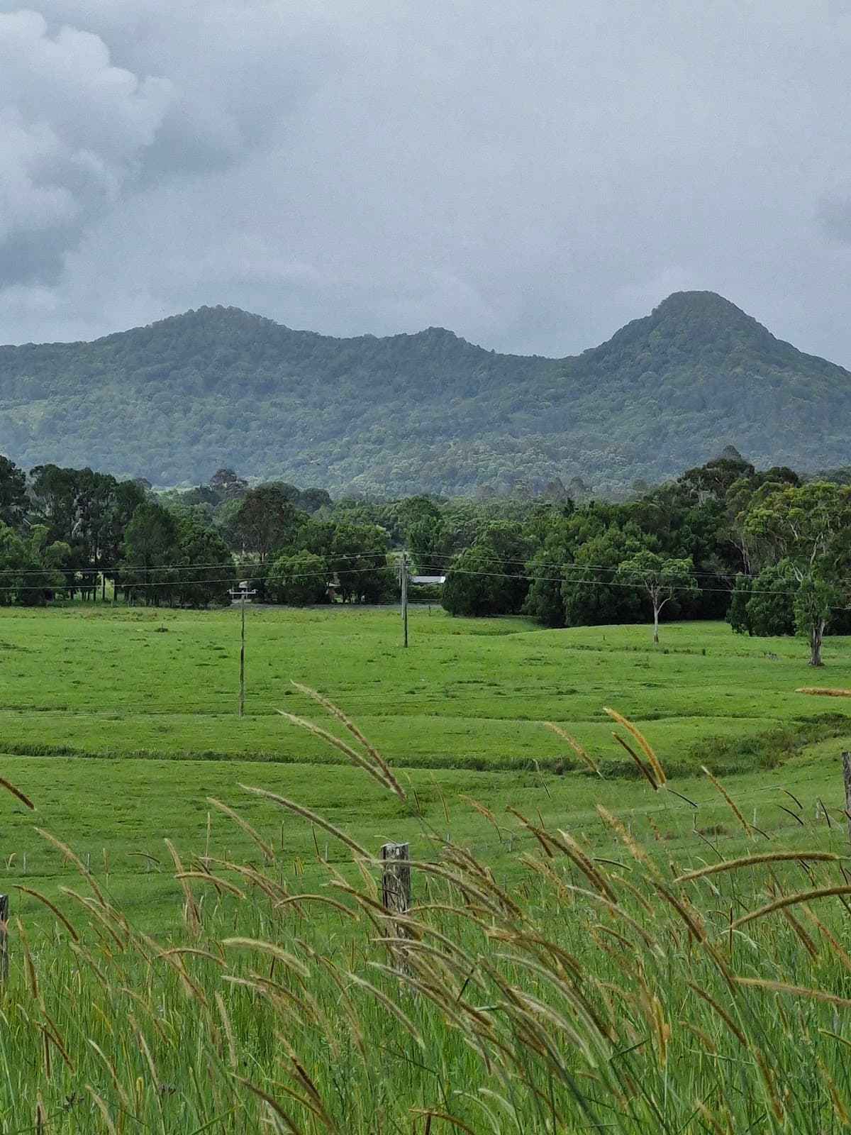 Mount Chincogan - Image 1