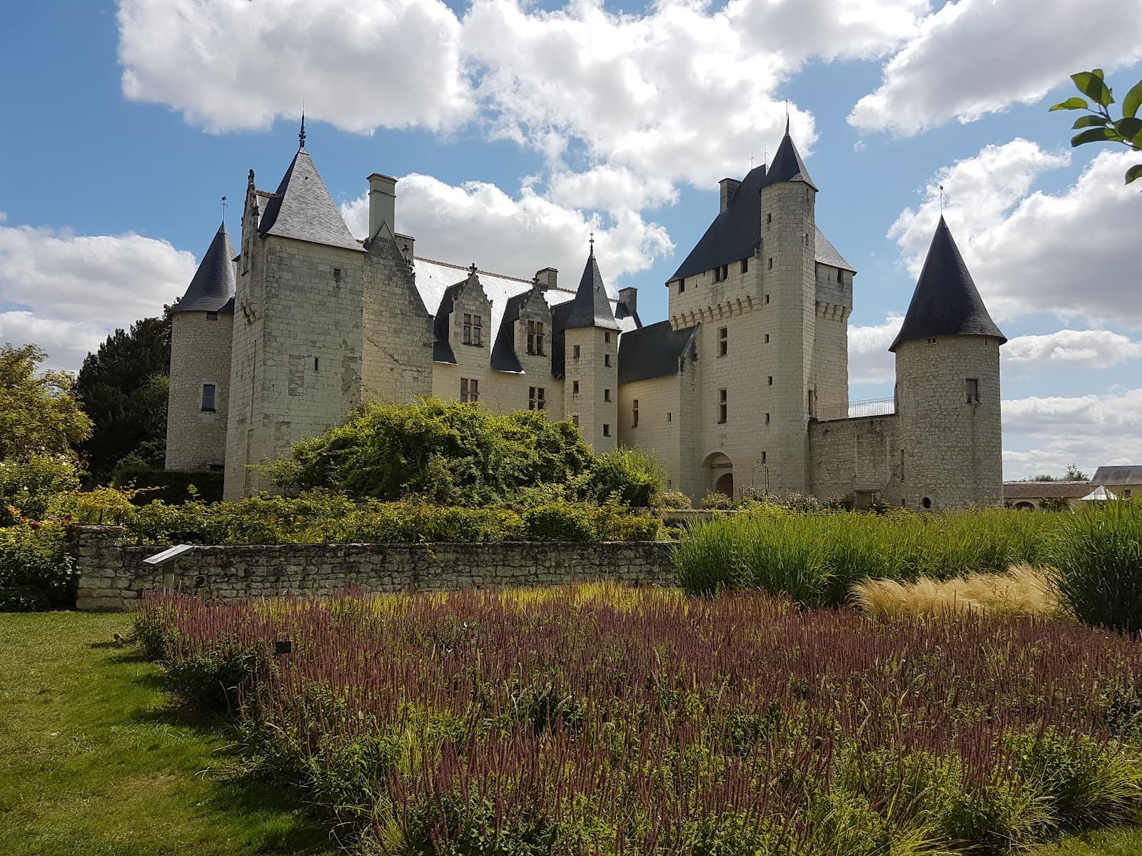 Savigny-en-Véron Nature Reserve - Image 1