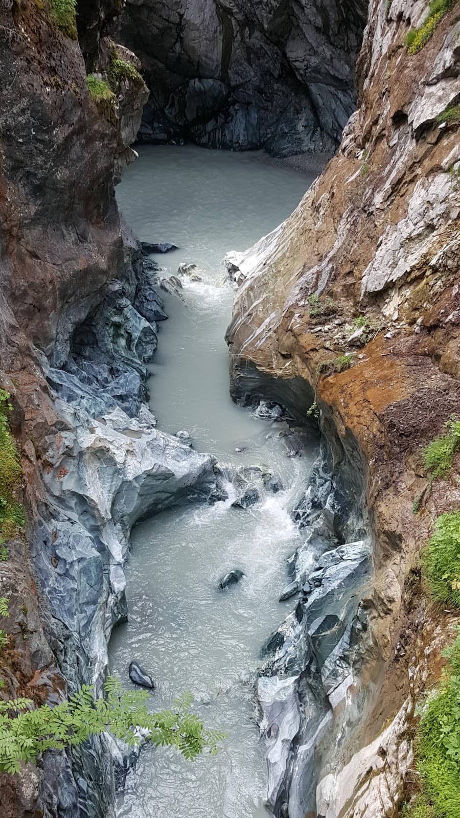 Vertical photo