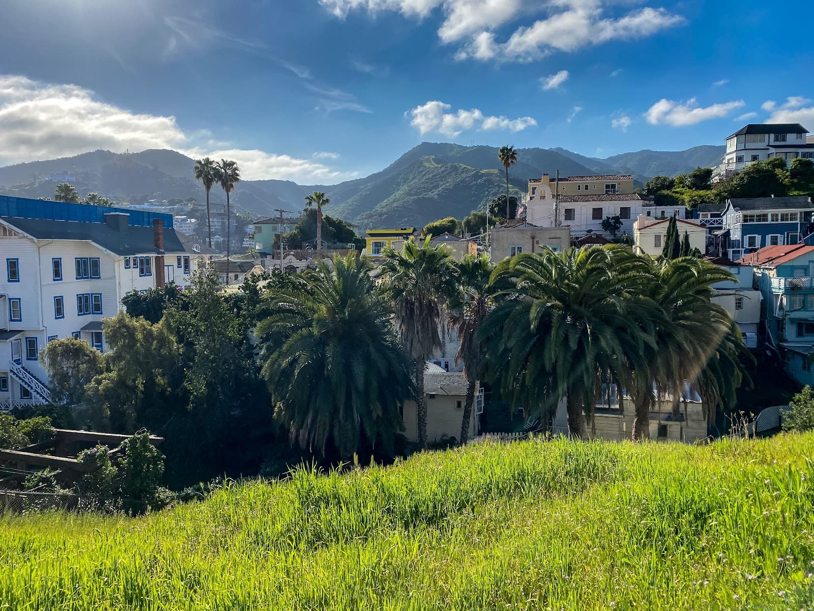 Catalina Island Avalon - Image 1