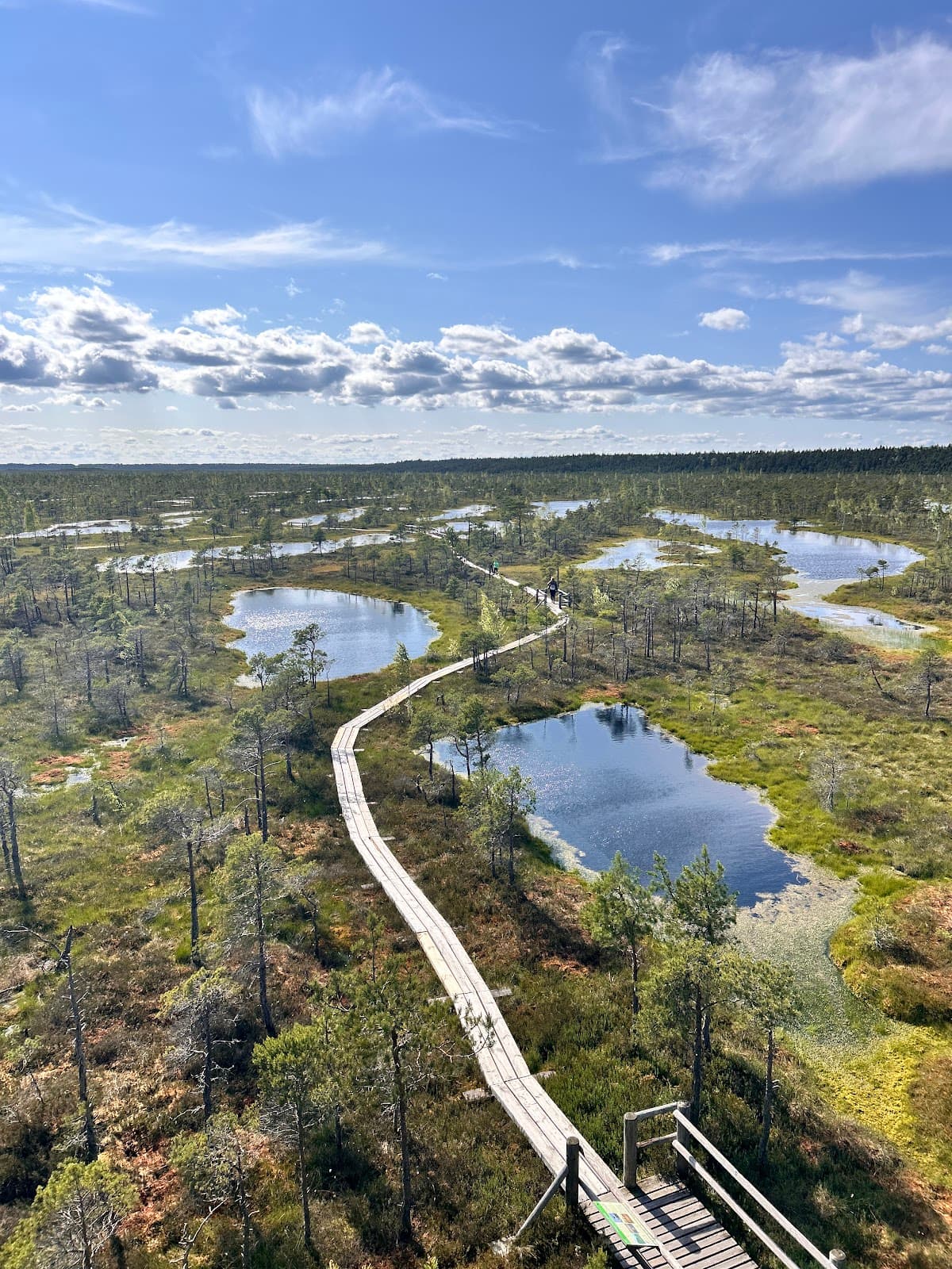 Ķemeri Resort Park - Image 1