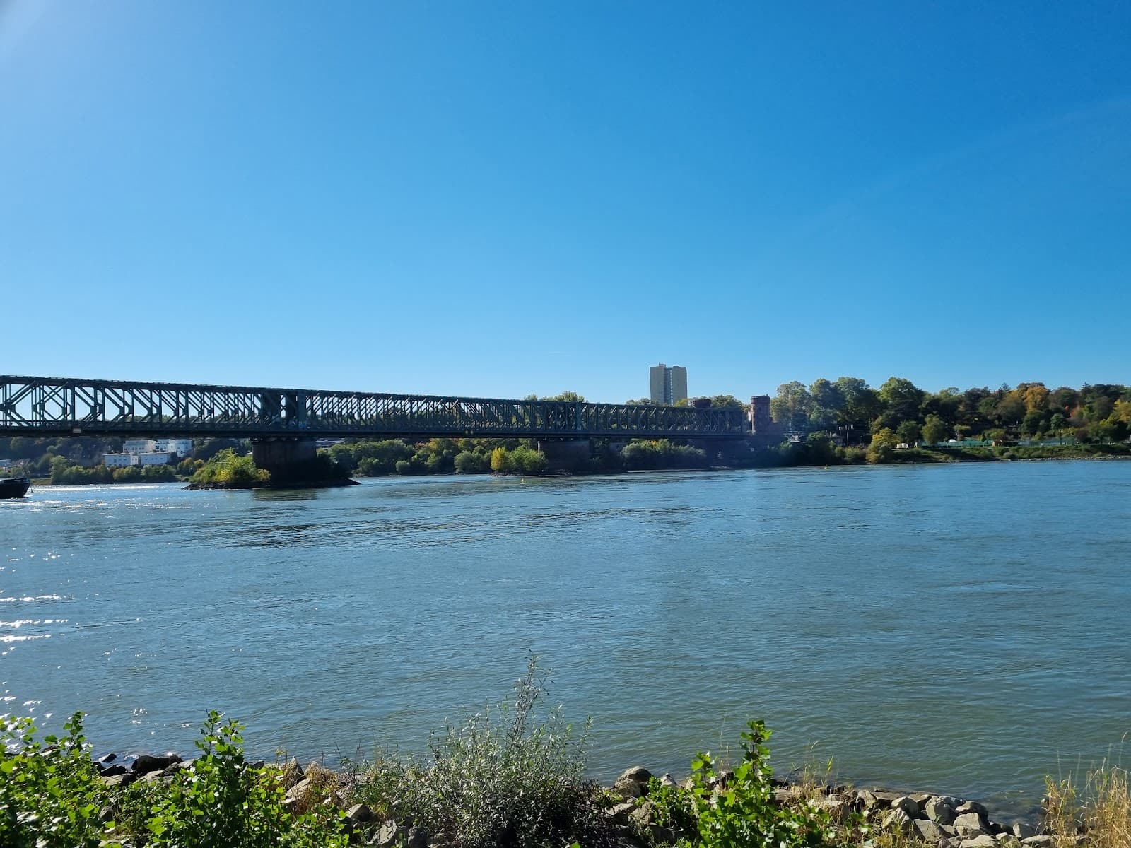Mainspitze Park Rhine-Main Confluence - Image 1