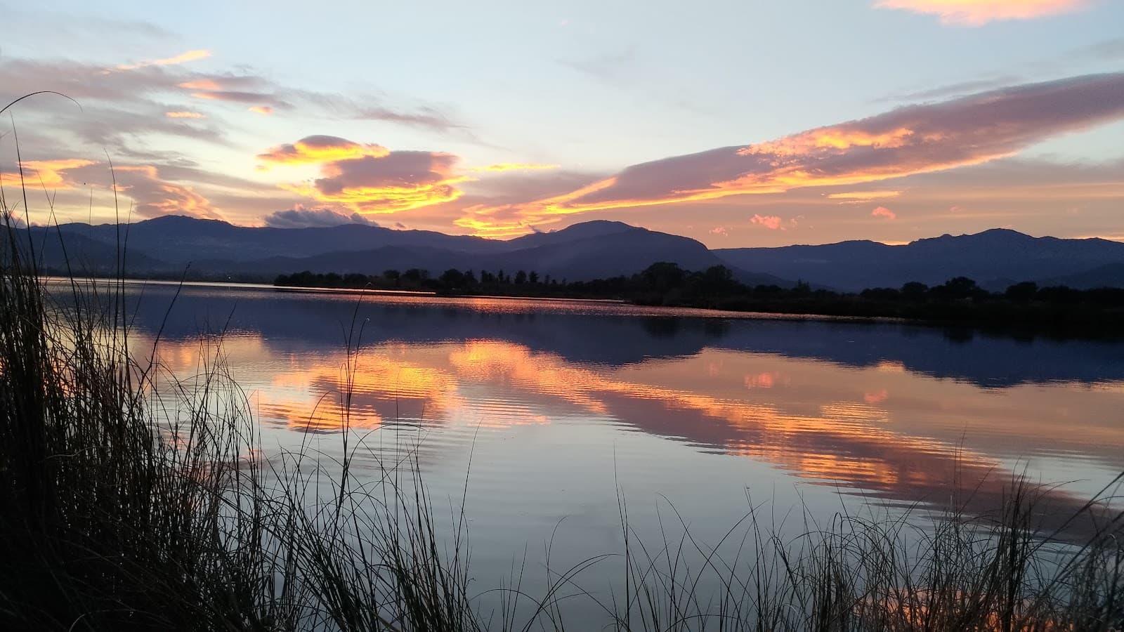 Stagno di Tortolì - Image 1