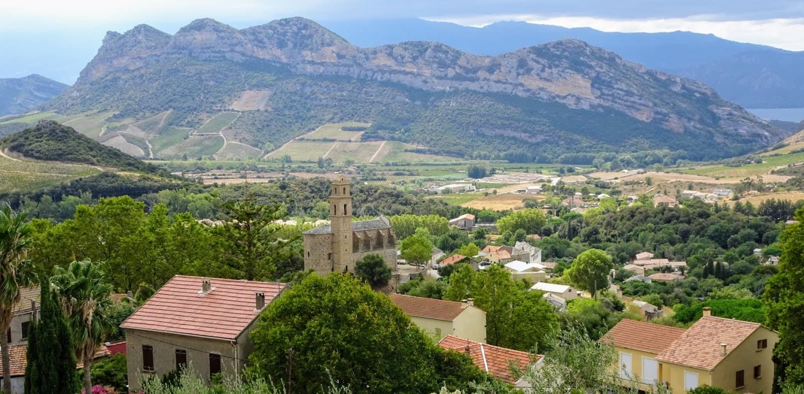 Patrimonio - Image 1