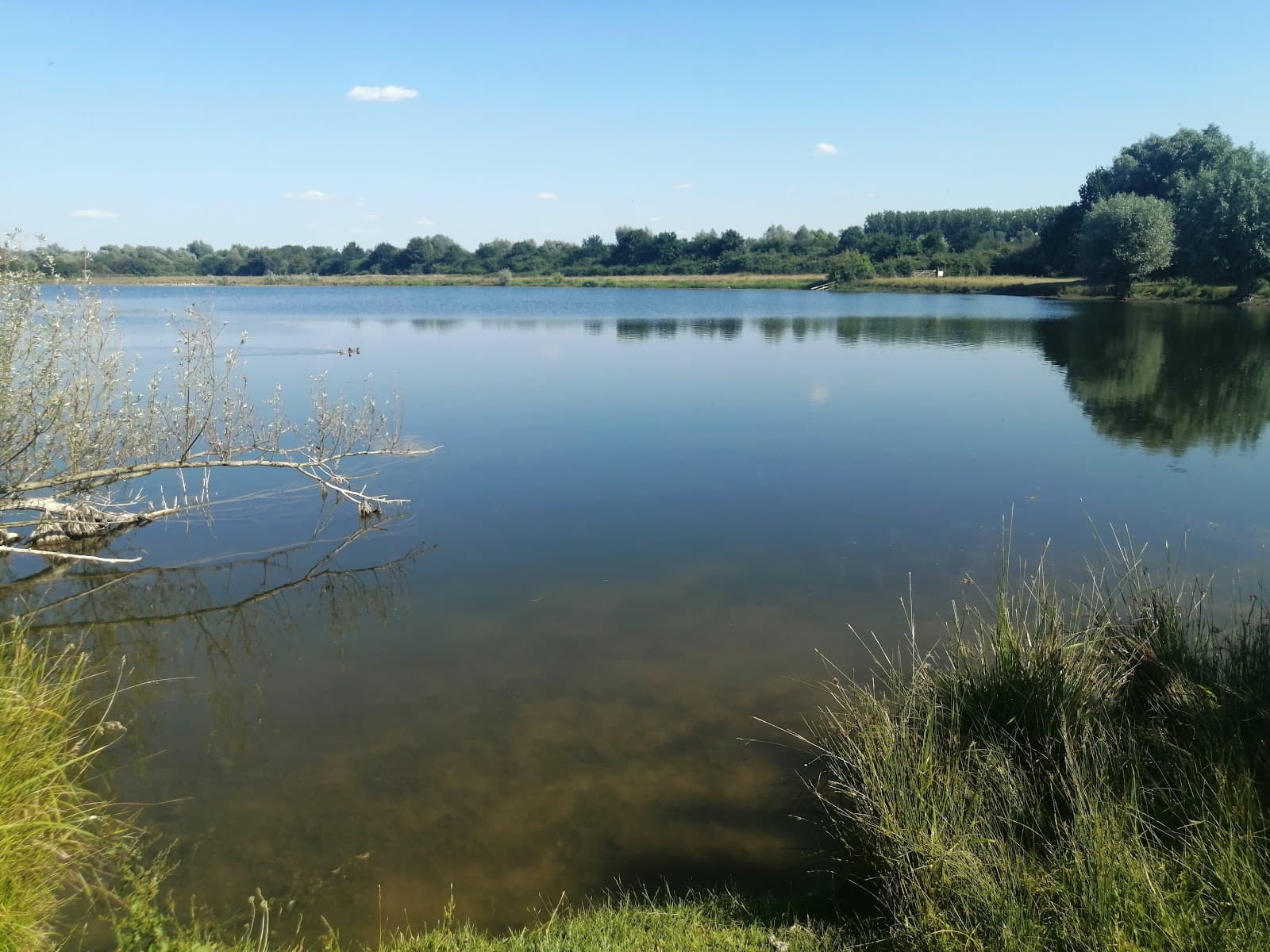 Godmanchester Nature Reserve - Image 1