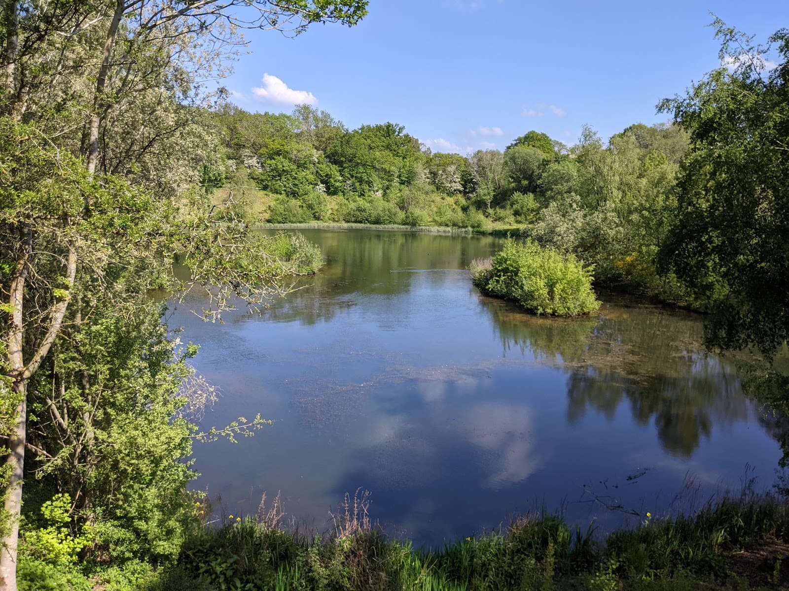 Ryton Pools Country Park - Image 1