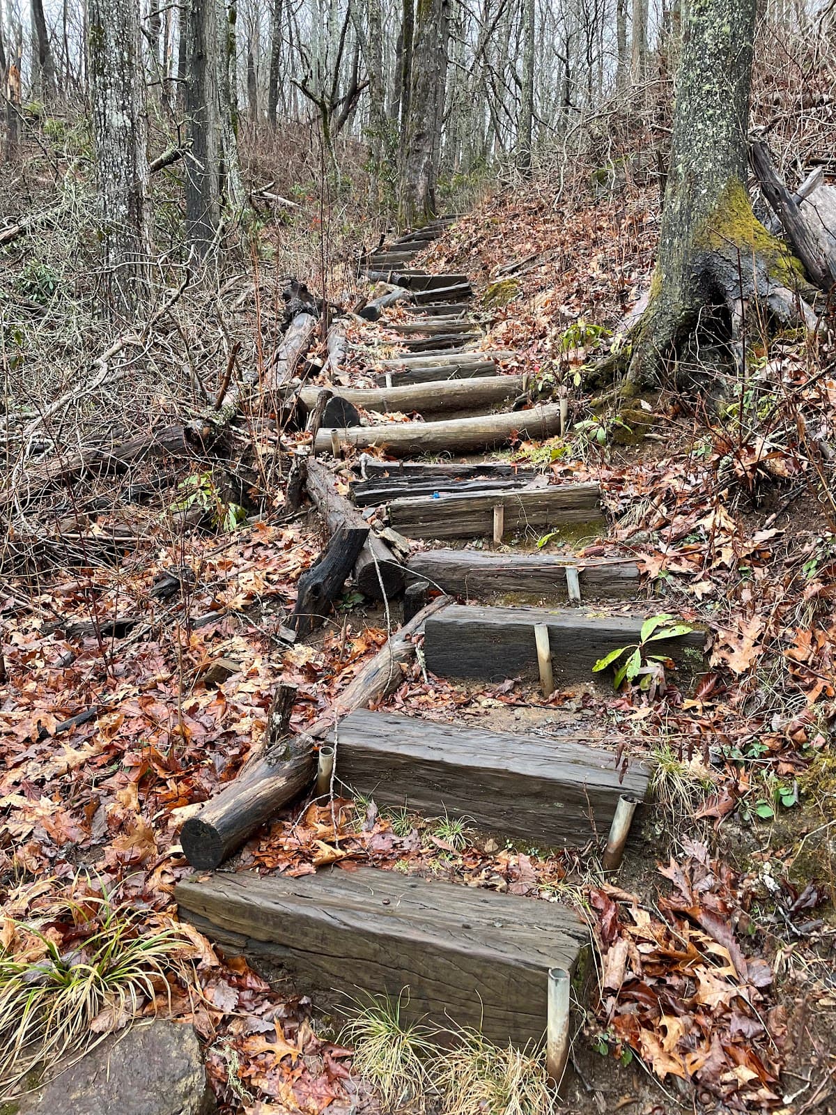 Winding Stair Gap (AT) - Image 1