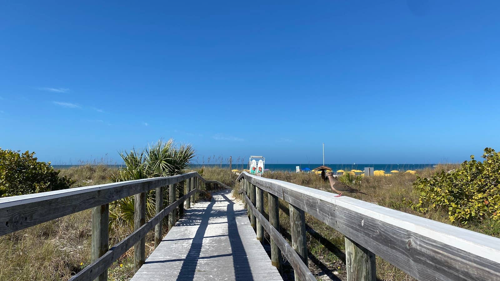 Boardwalk & Dunes
