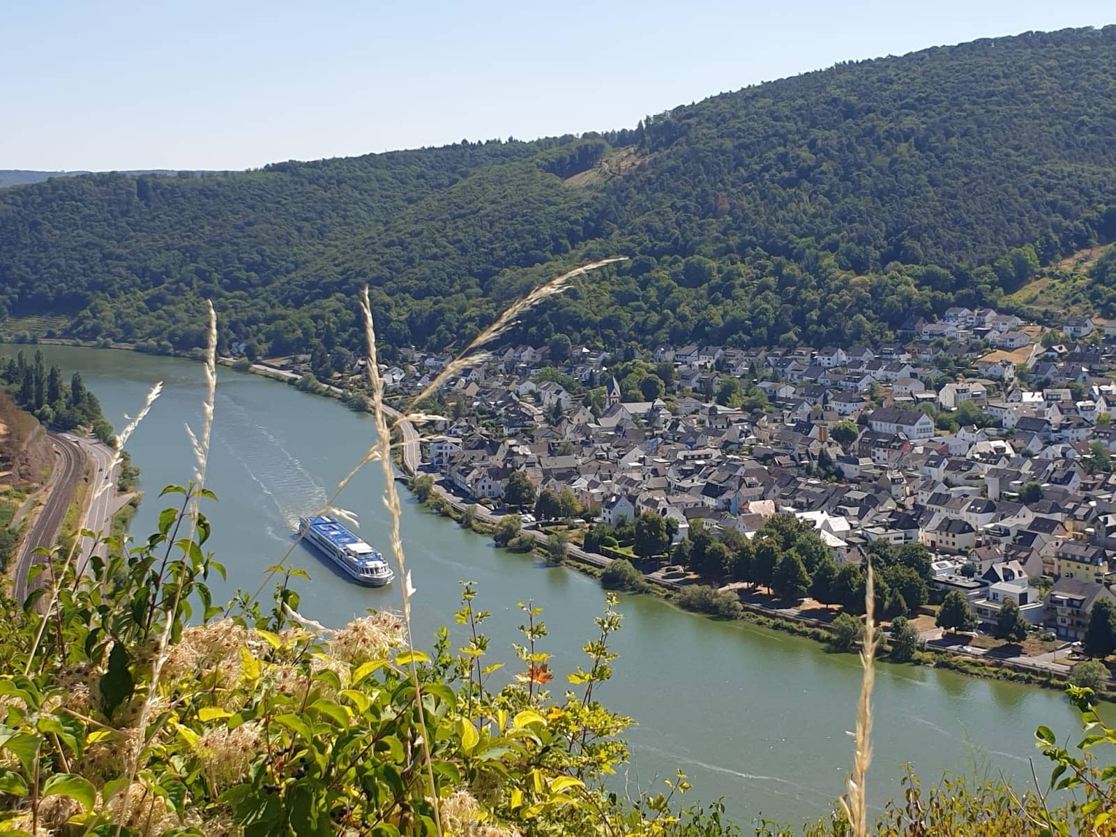Historic Weingüter (Wineries)