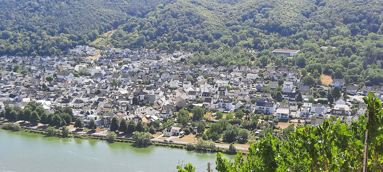 Vertical photo
