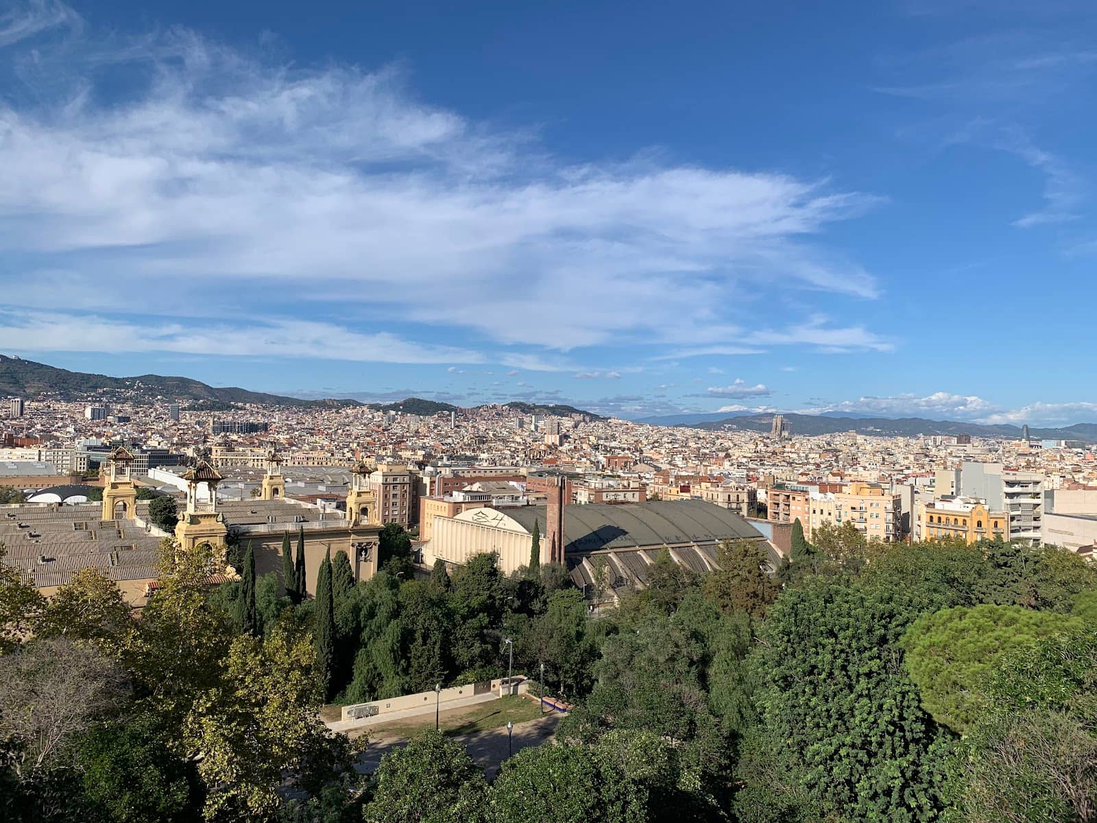 Sagrada Familia from Afar
