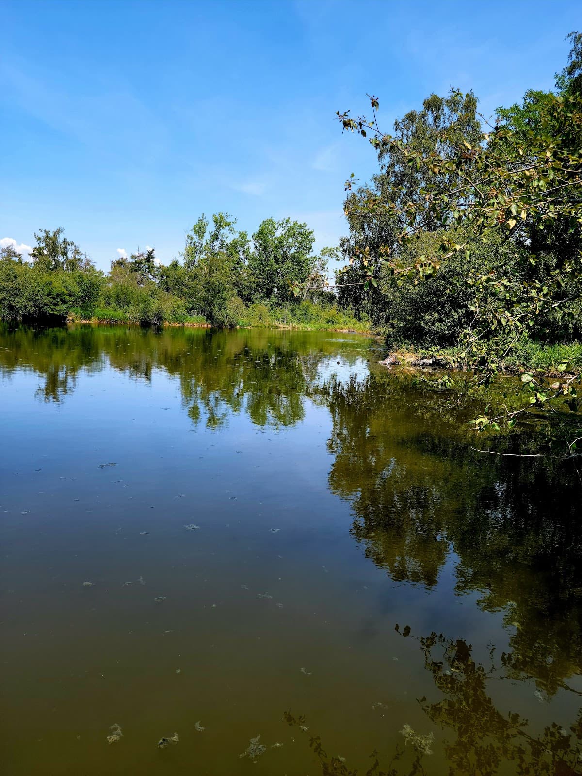 Westham Island - Image 1
