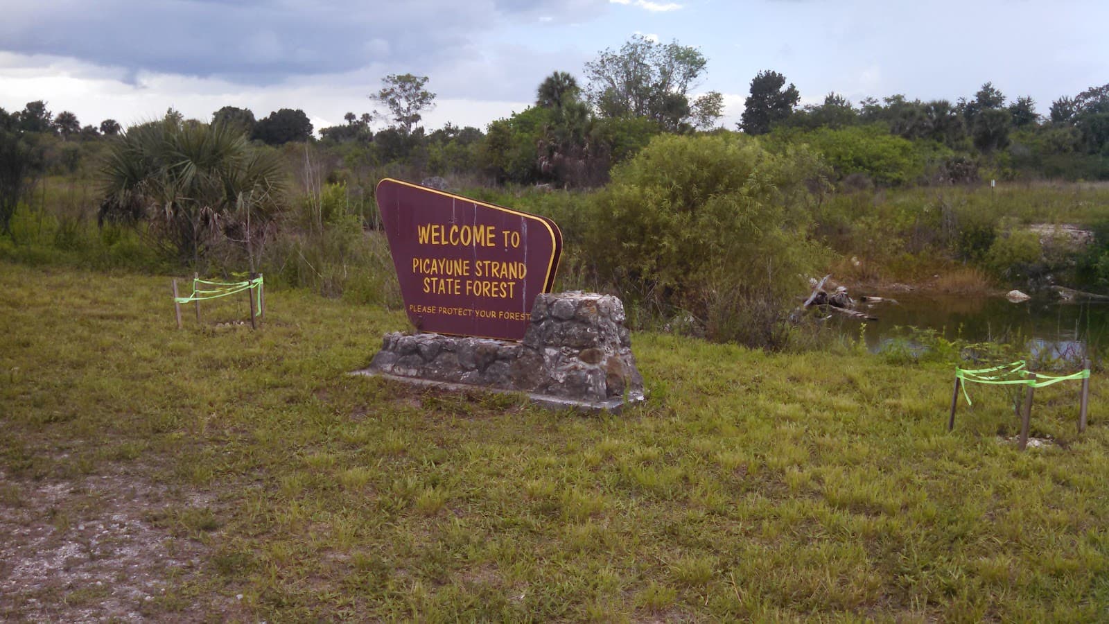 Jane's Scenic Drive - Image 1