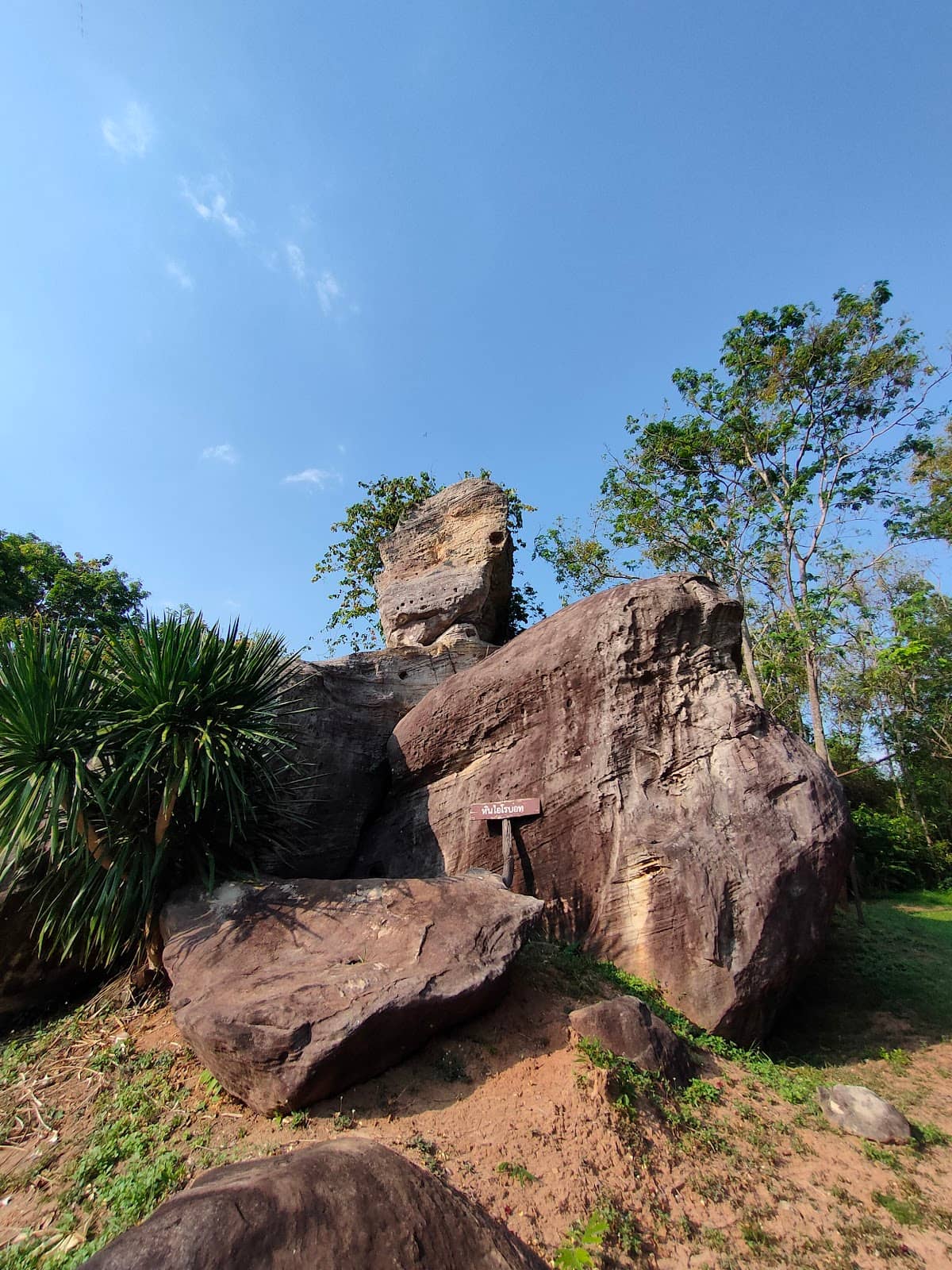 Vertical photo