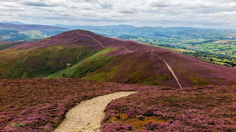 Moel y Gamelin - Image 1