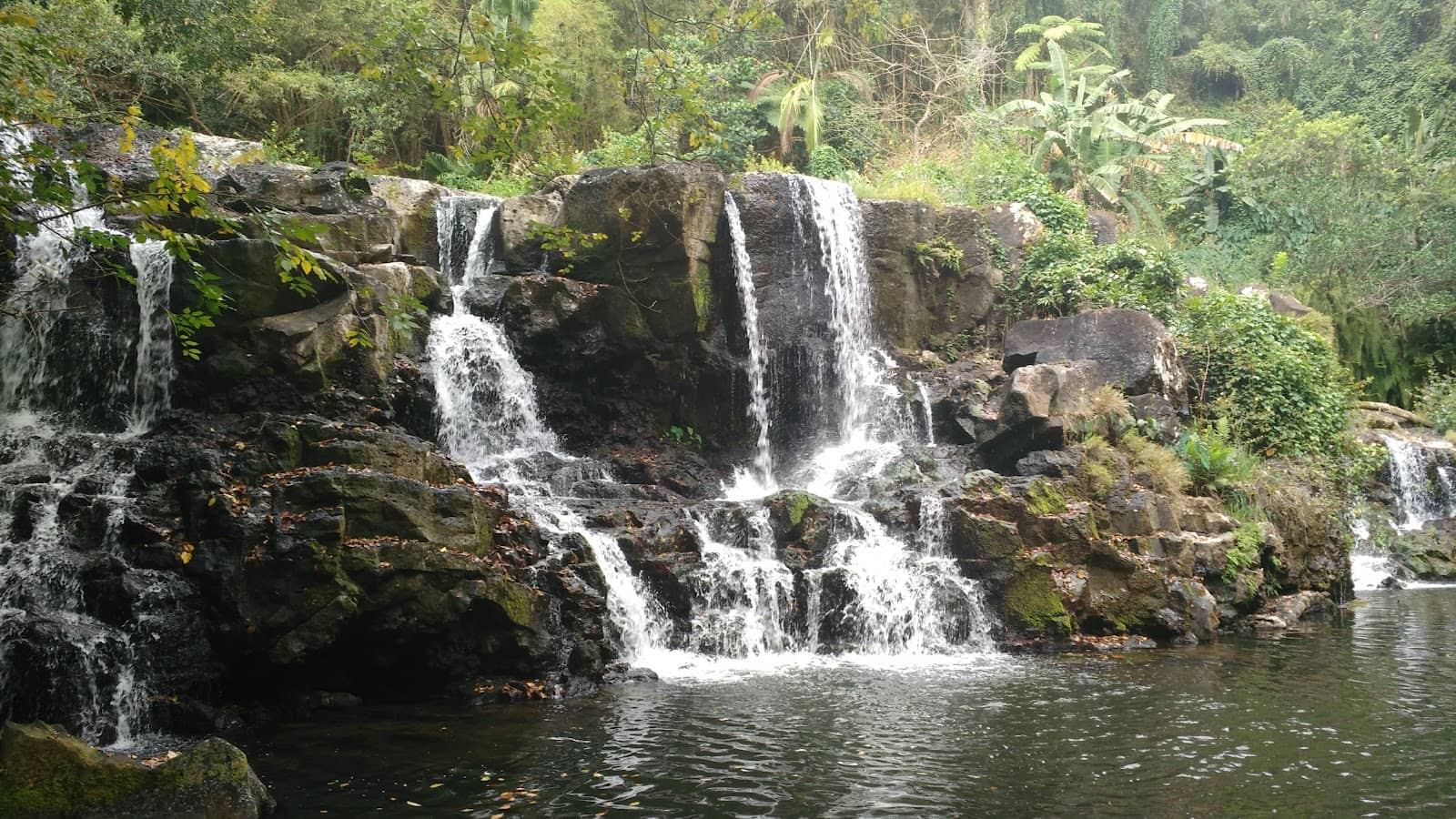 Tropical Garden Ambiance