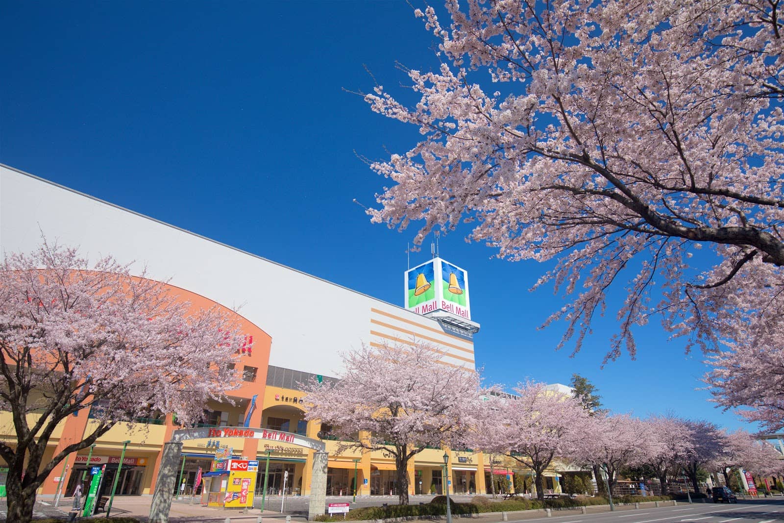 Family-Friendly Amenities