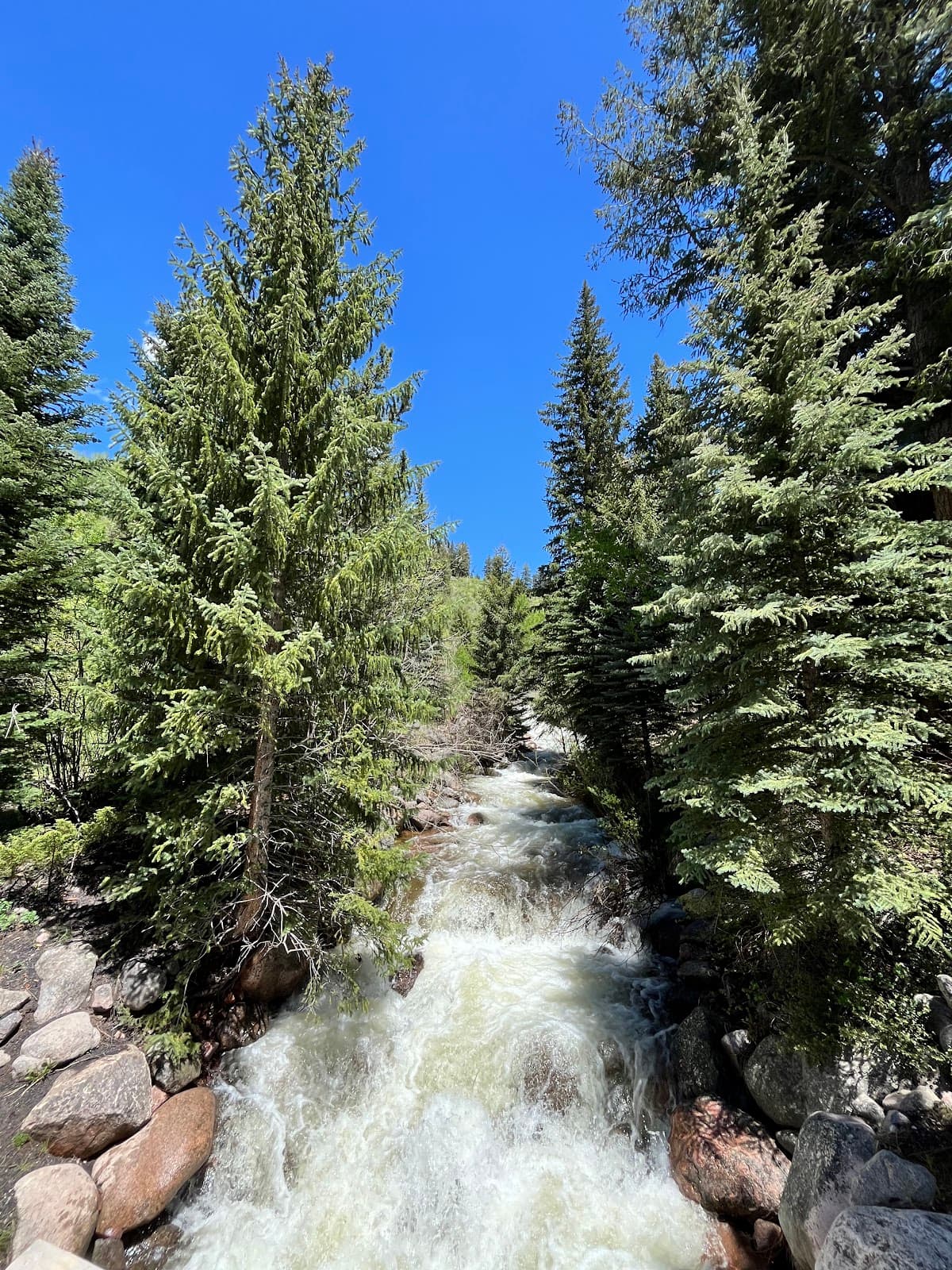 Bighorn Creek Trail - Image 1