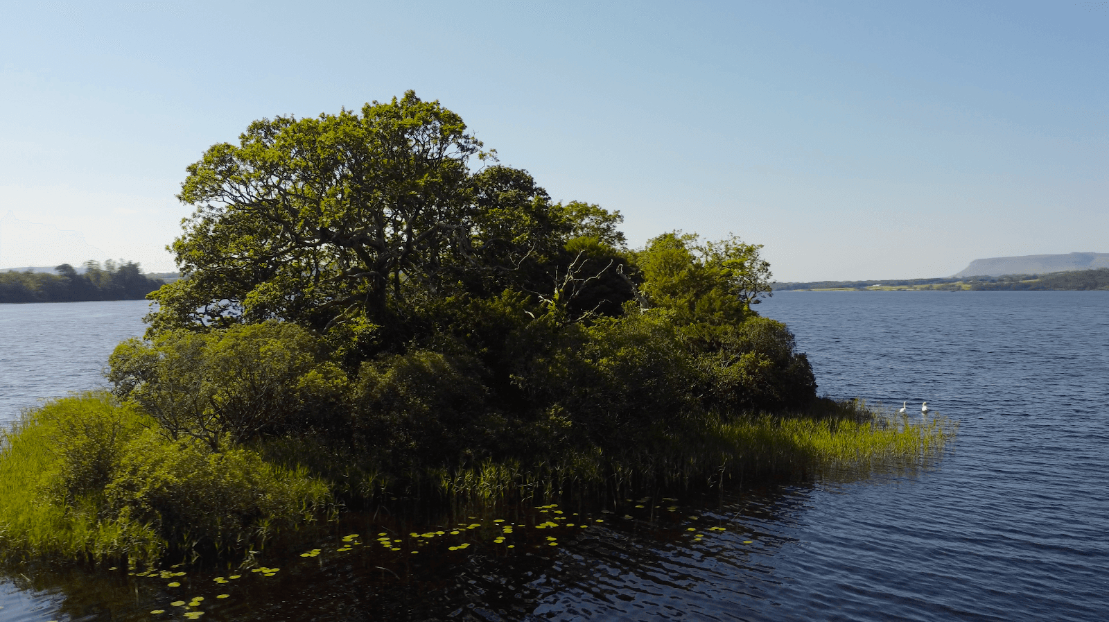 Rose of Innisfree Boat Tour