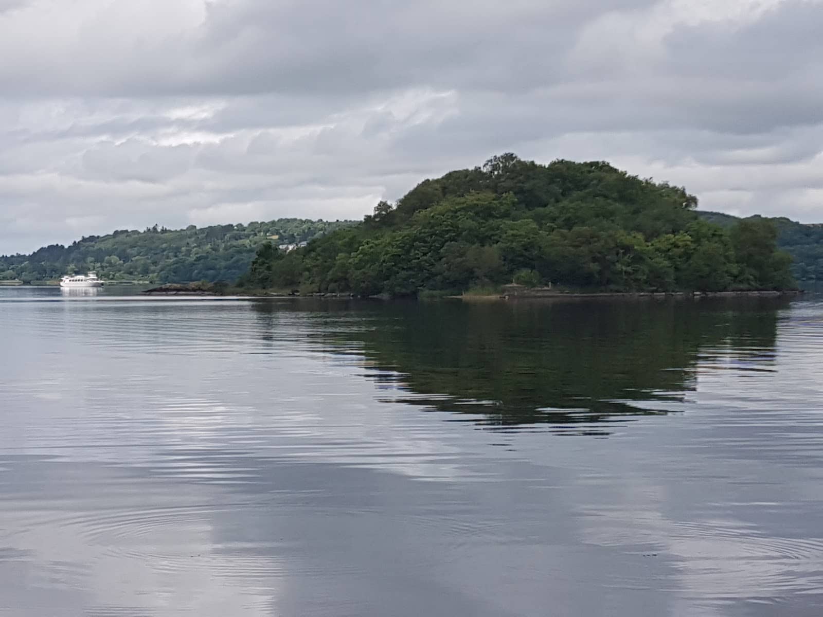 Hazelwood Forest Walk