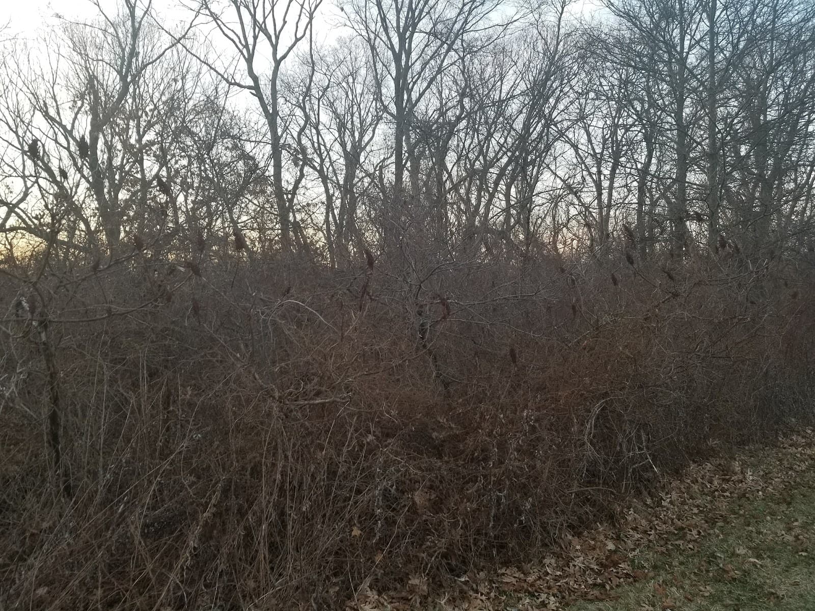 Bethpage Bikeway - Image 1