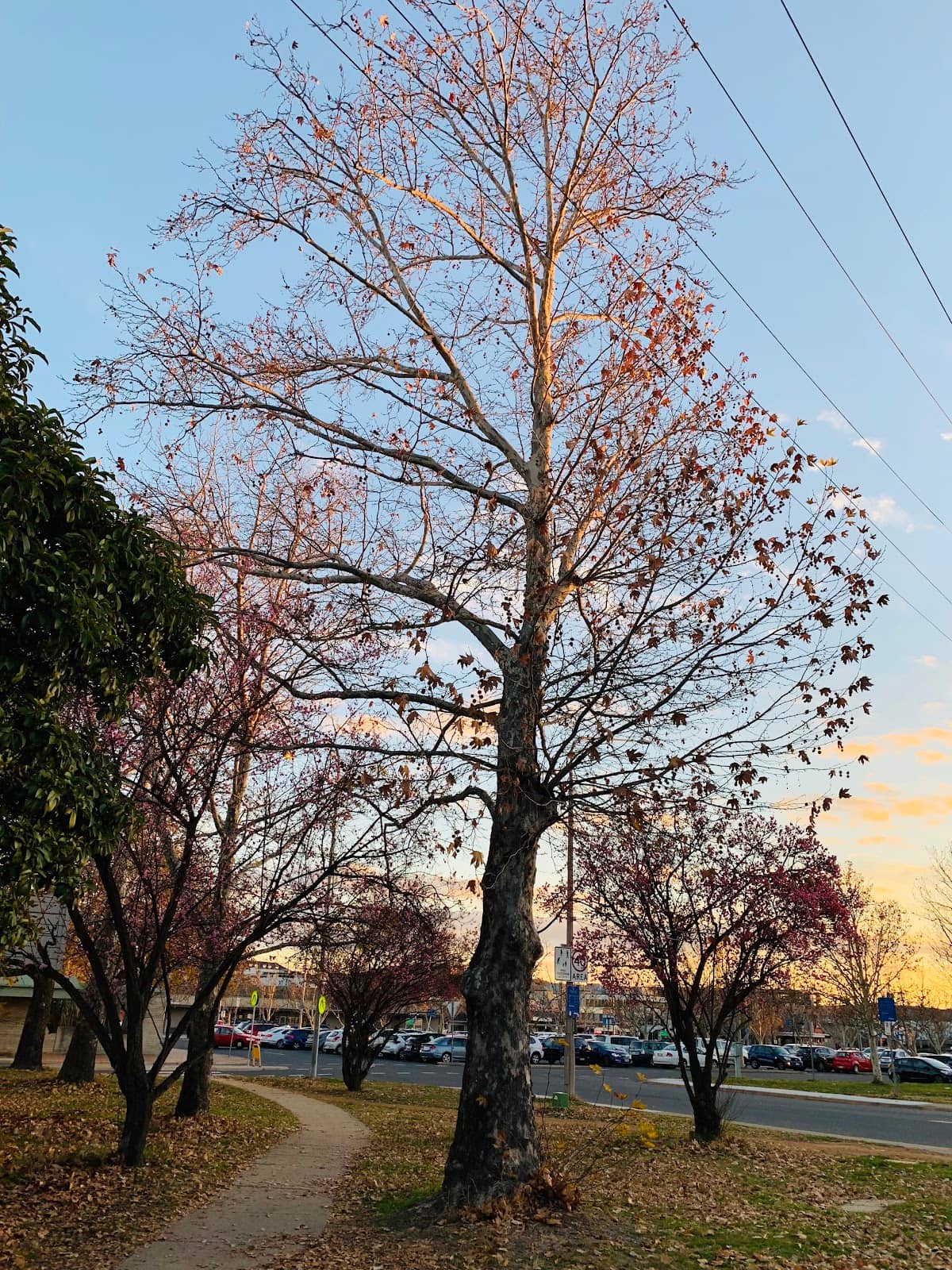 Vertical photo