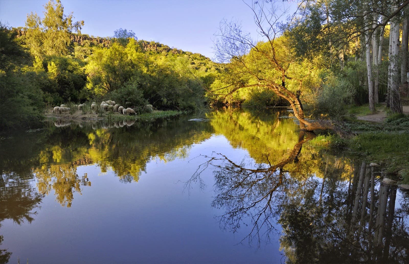 Su Gologone Spring - Image 1