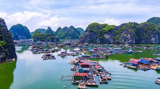 Ben Beo Harbor, Cat Ba Island - Image 1