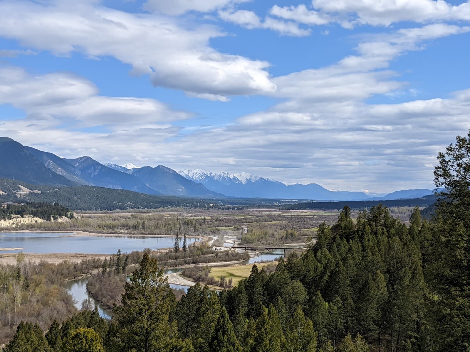 Columbia River Wetlands - Image 1