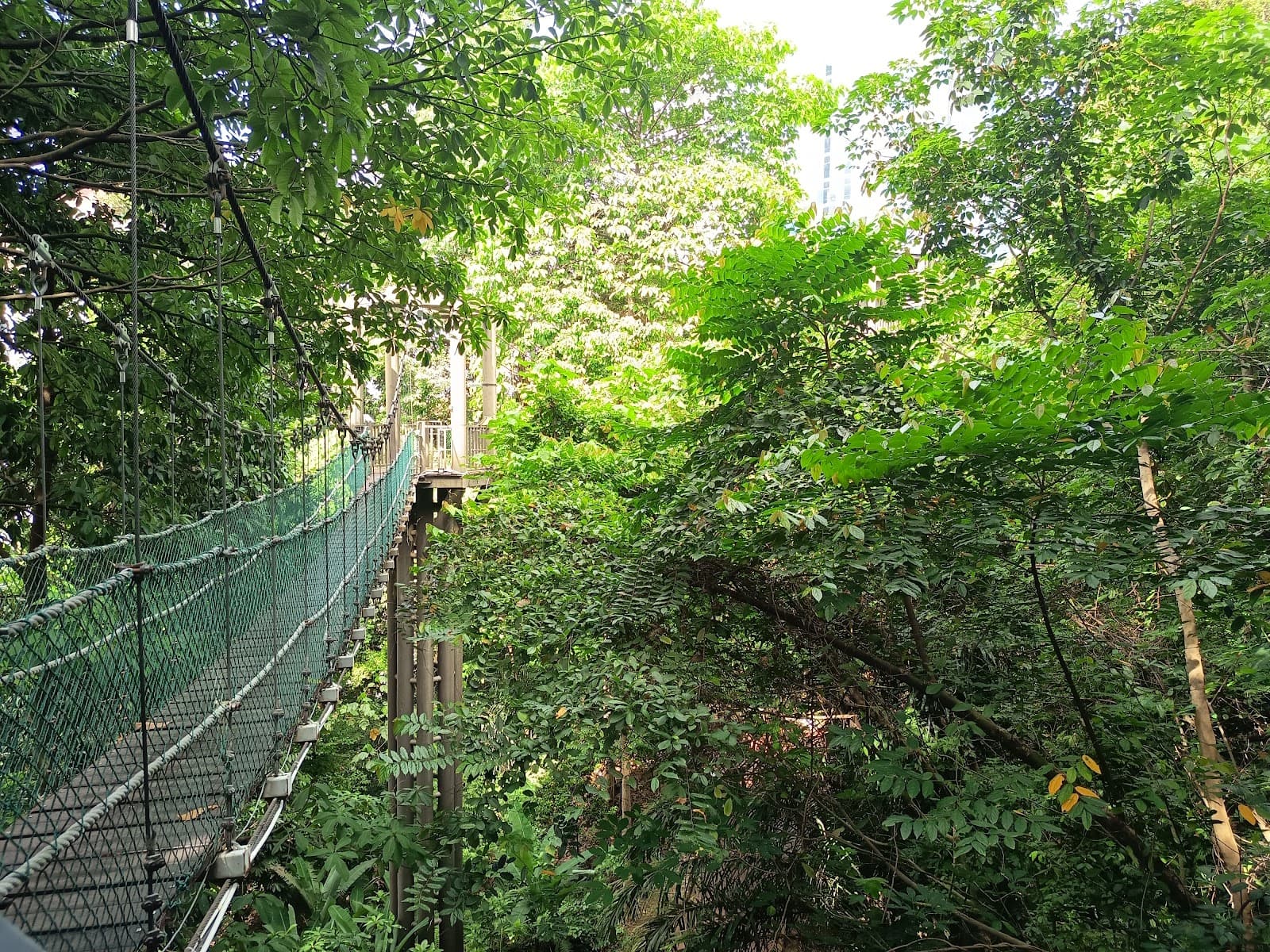 KL Forest Eco Park - Image 1