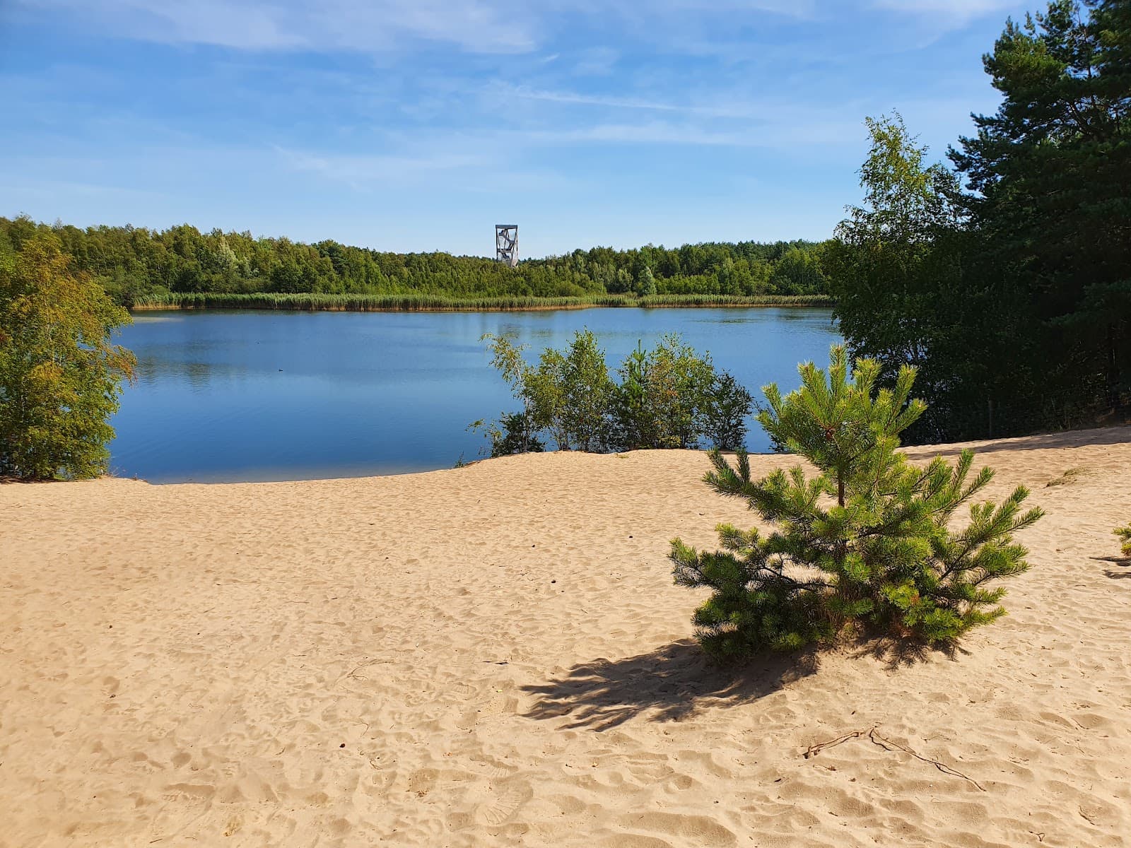 Lommelse Sahara - Image 1