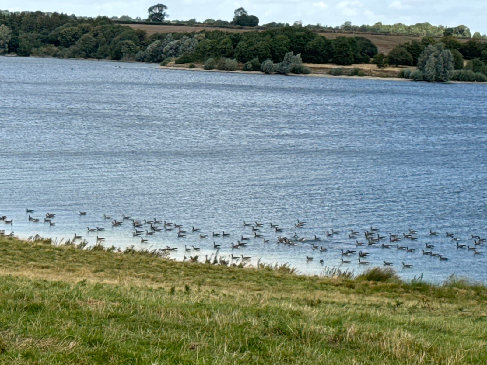 Hambleton Peninsula Walk - Image 1