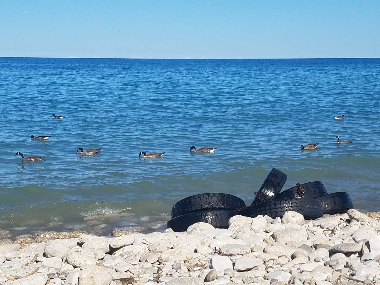 Quiet Lakeside Relaxation
