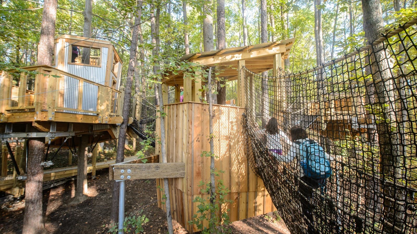 Museum of Life and Science - Image 1