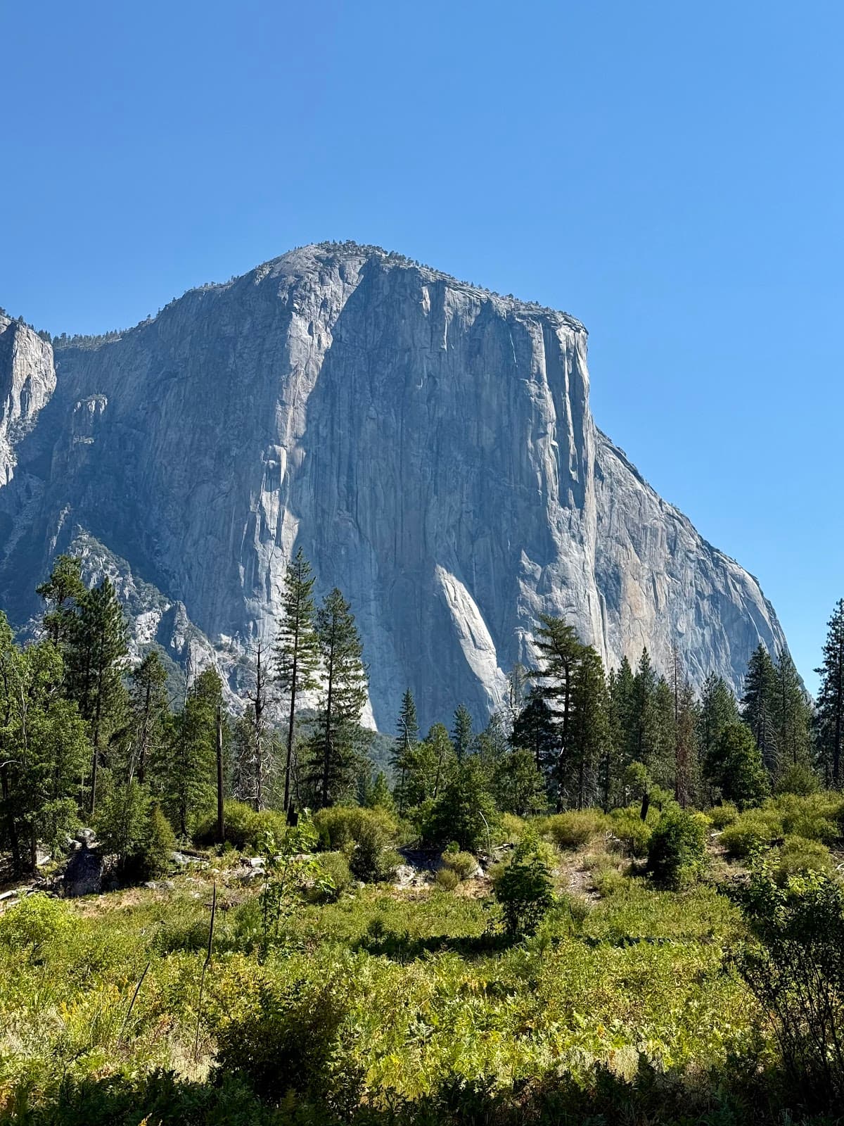 Lower Yosemite Fall - Image 1