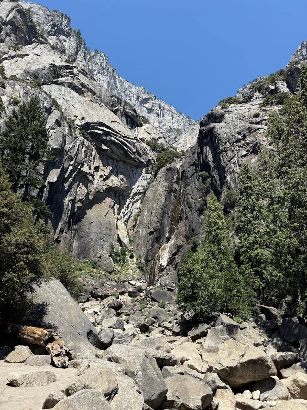 Vertical photo