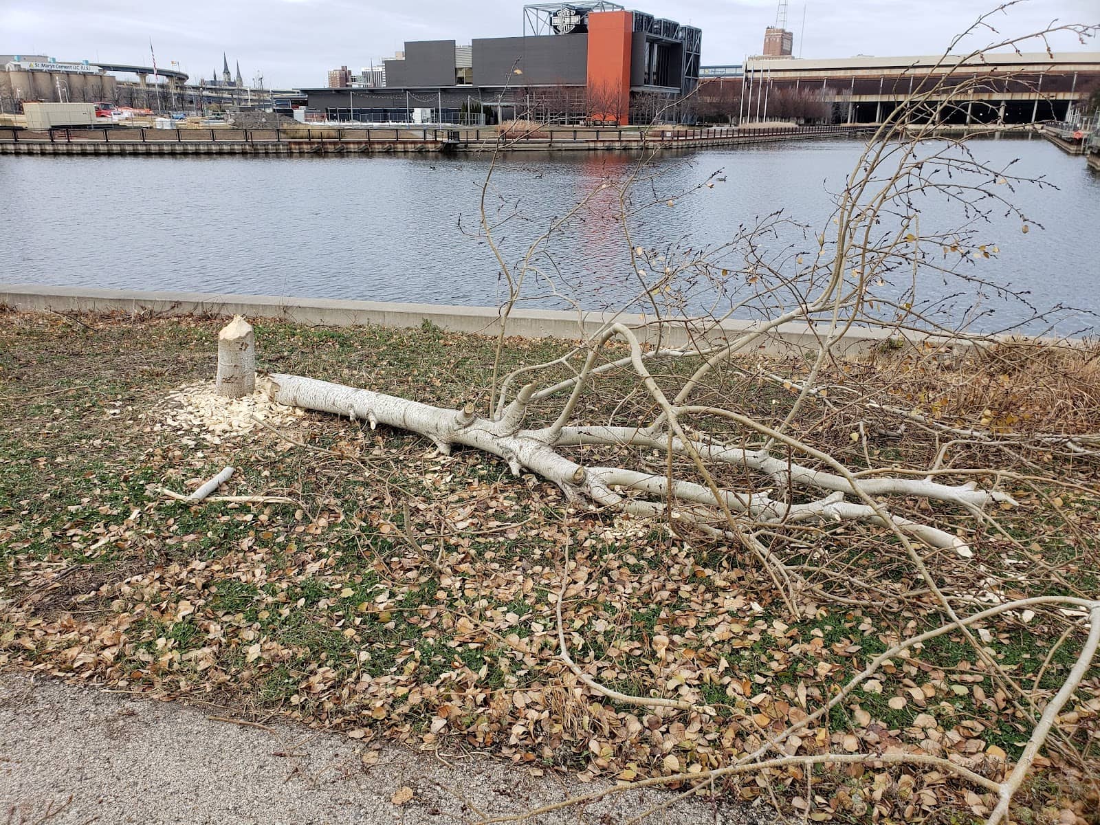 Sobelman's Pub & Grill