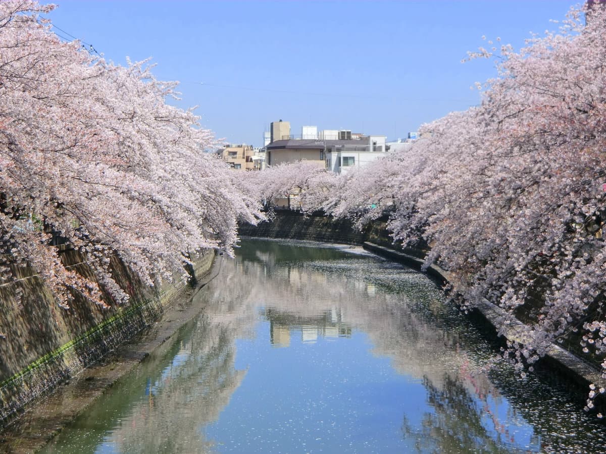 Oyokagawa River - Image 1