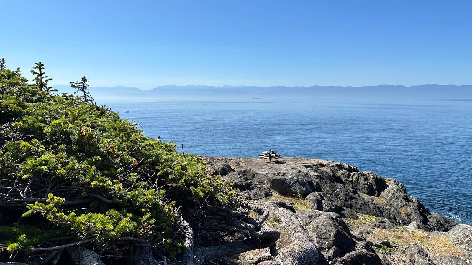 Wildlife Spotting Opportunities