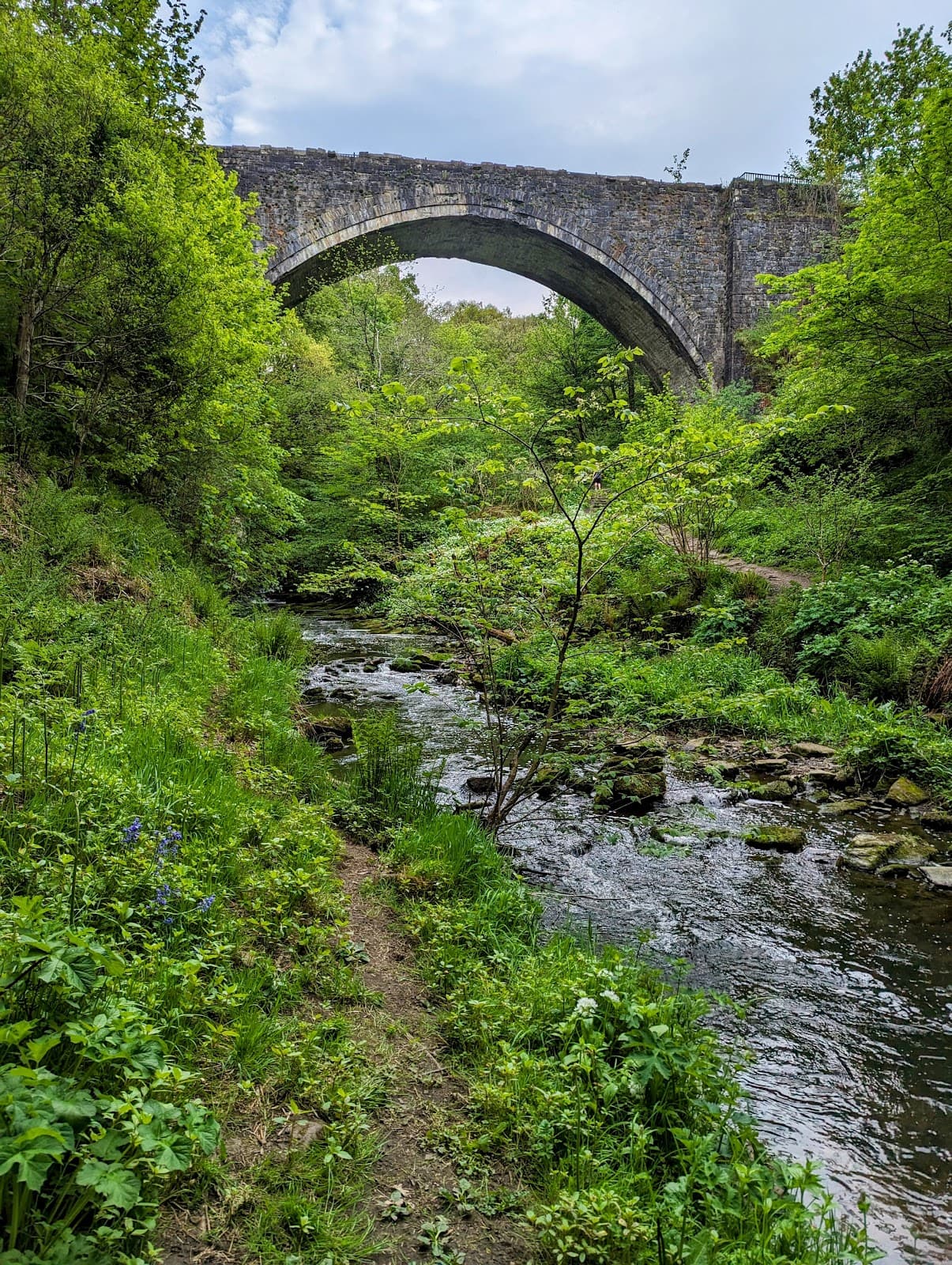 Causey Arch County Durham - Image 1